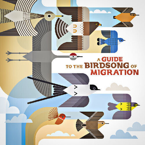 Various Artists: A Guide to the Birdsong of Migration (Various Artists) / Vinyl LP