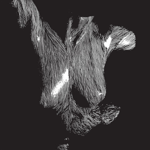 Oceansize: Self Preserved While The Bodies Float Up / RECORD