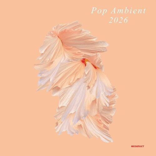 Various Artists: Pop Ambient 2026 / RECORD