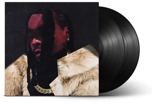 Wale: Everything Is A Lot. / RECORD