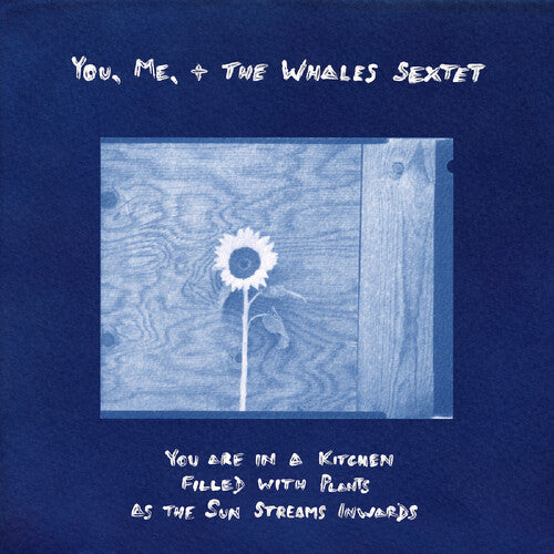 You, Me, + the Whales Sextet: You are in a Kitchen Filled with Plants as the Sun Streams Inwards - VINYL