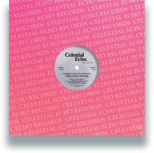 Cool-Notes: I Forgot How To Love You / Why Can't We Be Friends - 12-INCH SINGLE