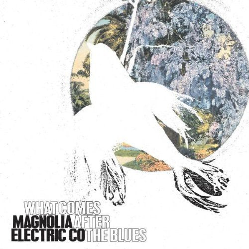 Magnolia Electric Co.: What Comes After the Blues / RECORD