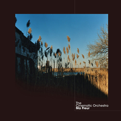 The Cinematic Orchestra: Ma Fleur / RECORD