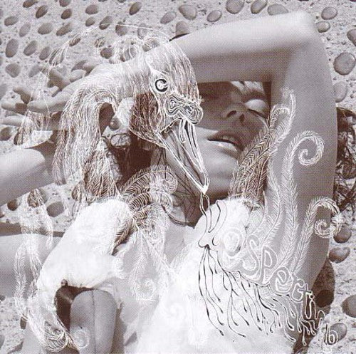 Bjork: Vespertine / RECORD