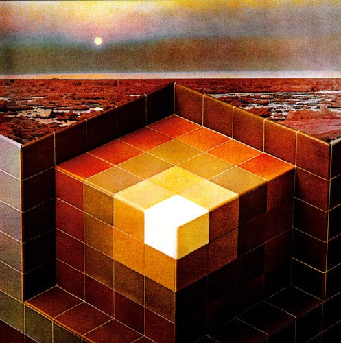 Black Mountain: In the Future / RECORD