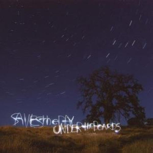 Saves the Day: Under the Boards / RECORD