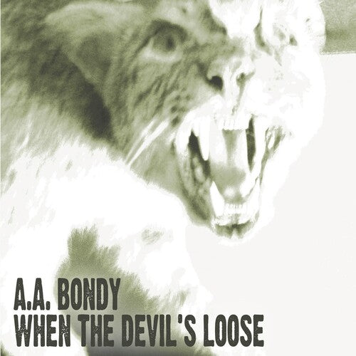 A.A. Bondy: When the Devil's Loose / RECORD