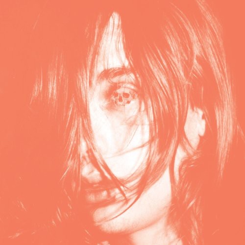 Deerhunter: Microcastle / RECORD