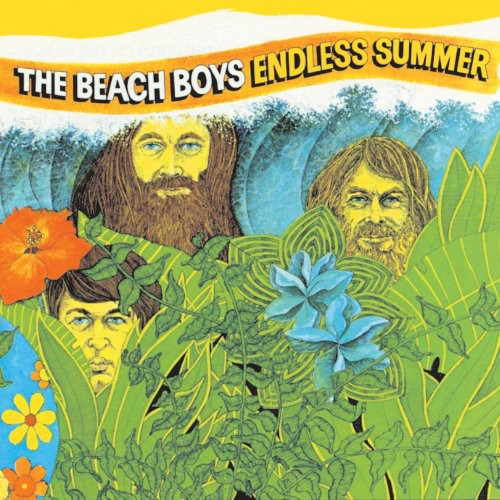 The Beach Boys: Endless Summer / RECORD