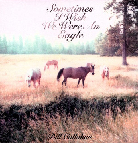 Bill Callahan: Sometimes I Wish We Were An Eagle / RECORD