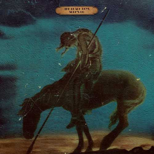 The Beach Boys: Surf's Up / RECORD