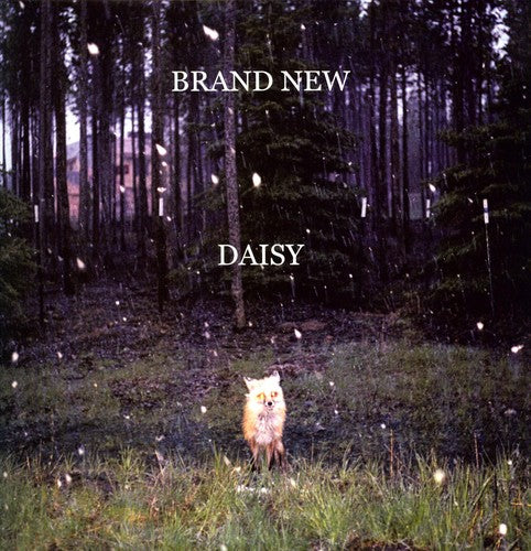 Brand New: Daisy [With mp3 Download of Album] / RECORD