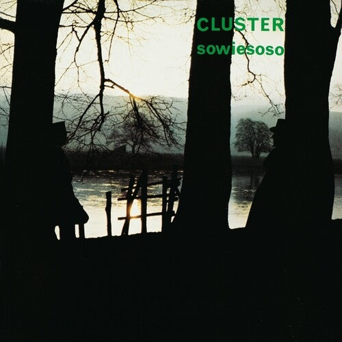 Cluster: Sowiesoso (50th Anniversary Edition) / RECORD