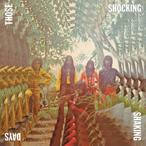 Various Artists: Those Shocking Shaking Days / RECORD