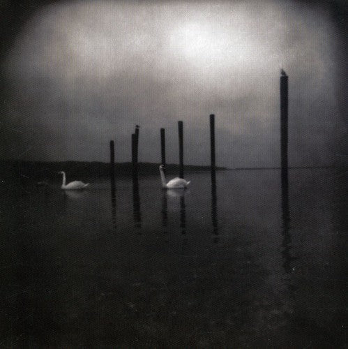 Om: Conference of the Birds / RECORD