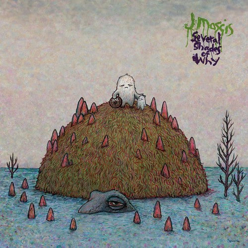 J Mascis: Several Shades of Why / RECORD