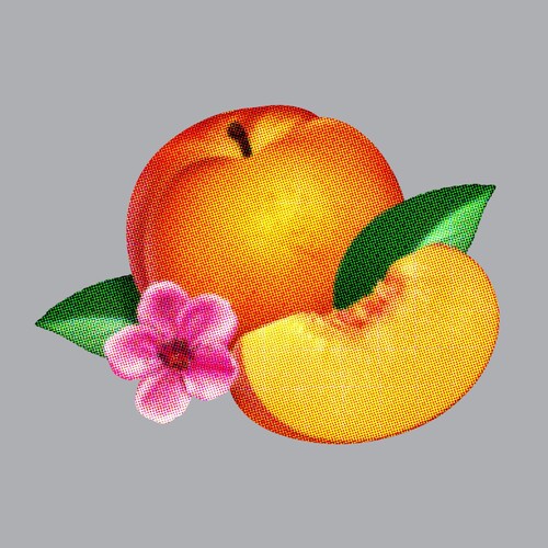 Phoenix: Bankrupt / RECORD