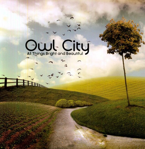 Owl City: All Things Bright and Beautiful / RECORD