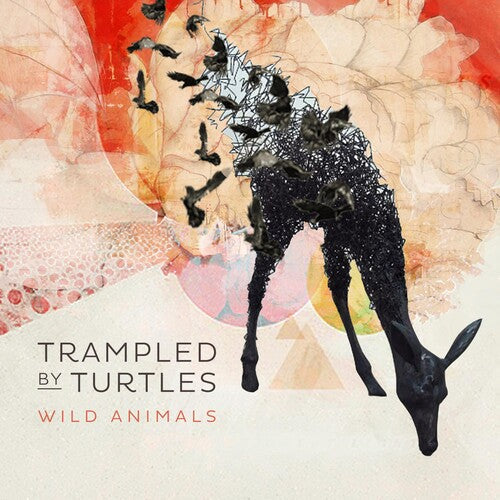 Trampled by Turtles: Wild Animals / RECORD