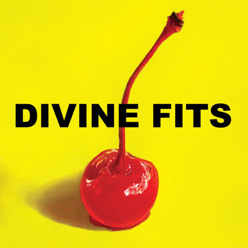 Divine Fits: A Thing Called Divine Fits / RECORD