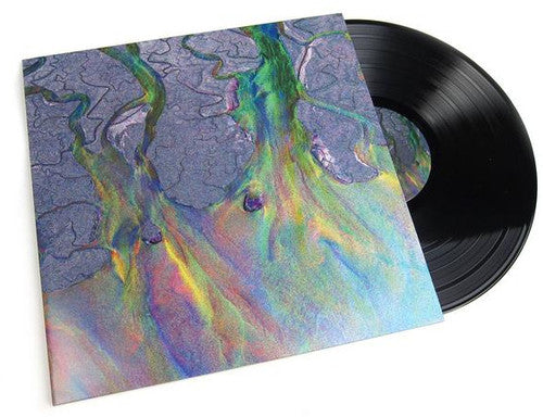 Alt-J: An Awesome Wave / RECORD