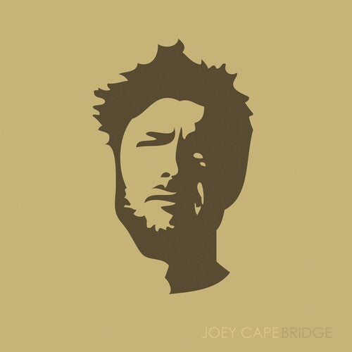 Joey Cape: Bridge  / Vinyl LP