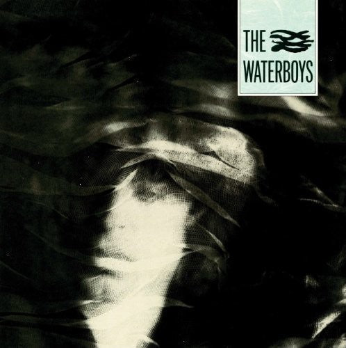 The Waterboys: Waterboys / RECORD