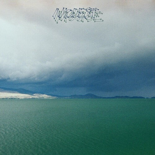 Modest Mouse: Fruit That Ate Itself / RECORD