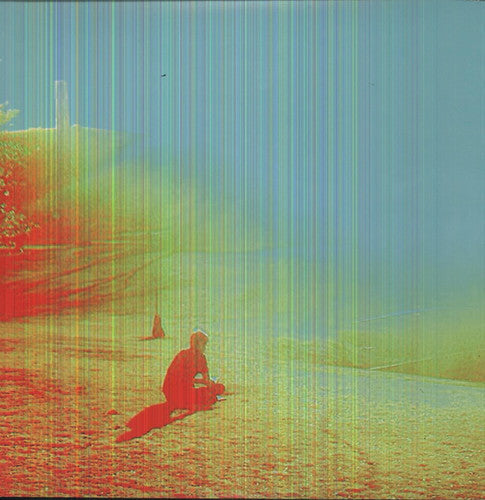 The Flaming Lips: The Terror / RECORD