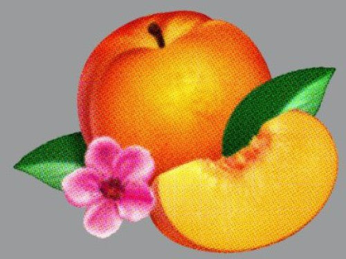 Phoenix: Bankrupt! / RECORD