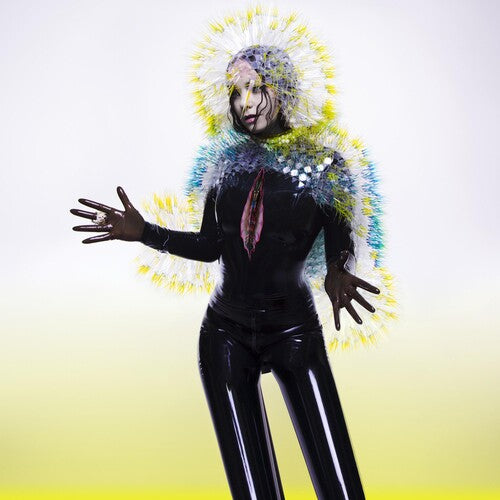 Bjork: Vulnicura / RECORD