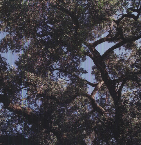 Charles Manson: Trees / RECORD
