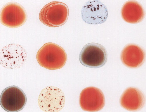 Peter Gabriel: Scratch My Back & I'll Scratch Yours / RECORD