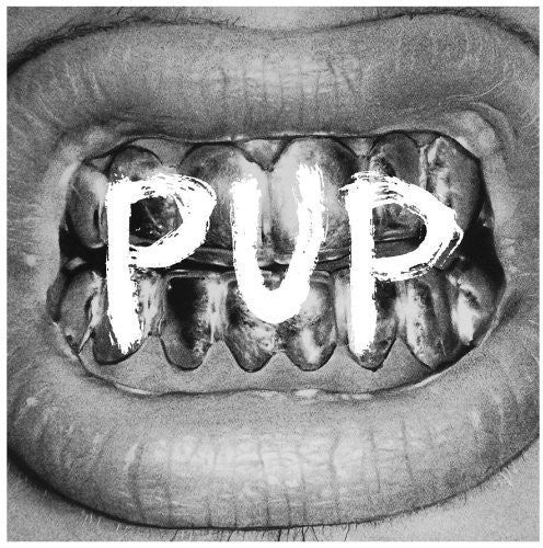 Pup: Pup / RECORD