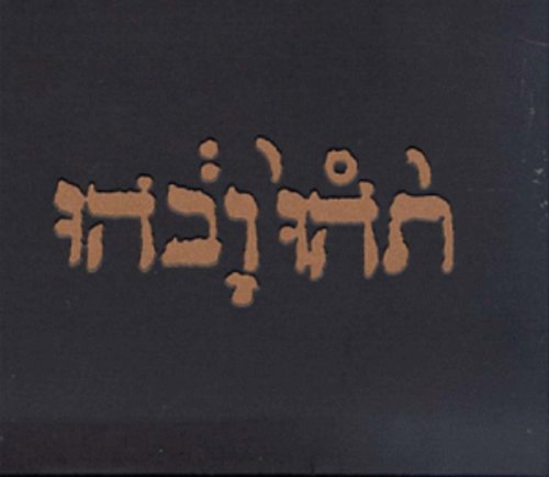 Godspeed You! Black Emperor: Slow Riot for New Zero Kanada / RECORD