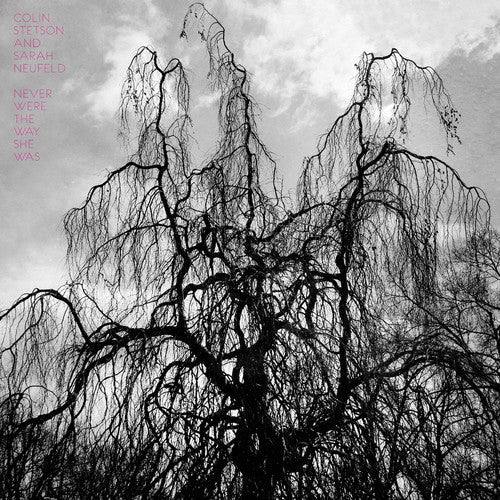 Colin Stetson: Never Were the Way She Was / RECORD