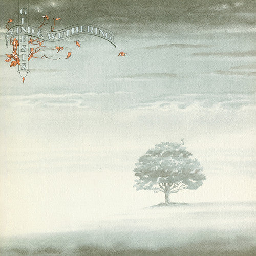 Genesis: Wind & Wuthering / RECORD