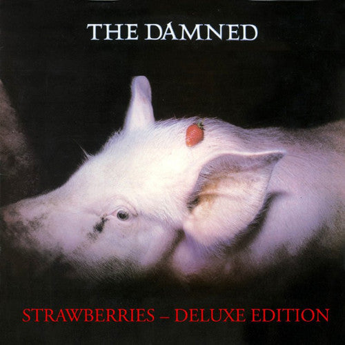 The Damned: Strawberries / RECORD