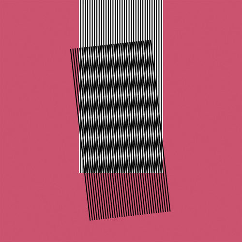 Hot Chip: Why Make Sense / RECORD