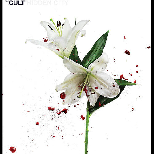 The Cult: Hidden City / RECORD
