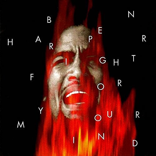 Ben Harper: Fight for Your Mind / RECORD