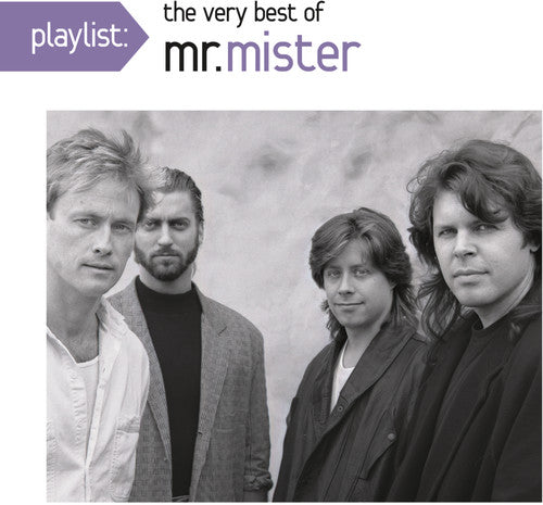 Mr Mister: Playlist: The Very Best Of Mr. Mister - CD