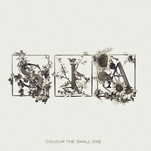 Sia: Colour the Small One / RECORD