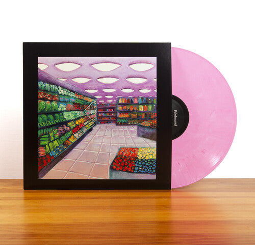 Palehound: A Place I'll Always Go / RECORD
