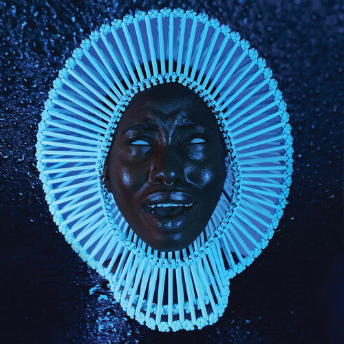 Childish Gambino: Awaken My Love / RECORD