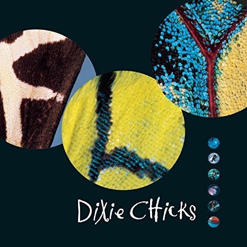 The Chicks: Fly / RECORD