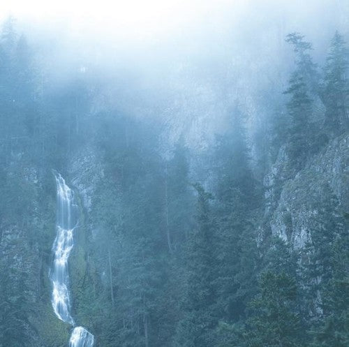 Wolves in the Throne Room: Diadem Of 12 Stars / RECORD