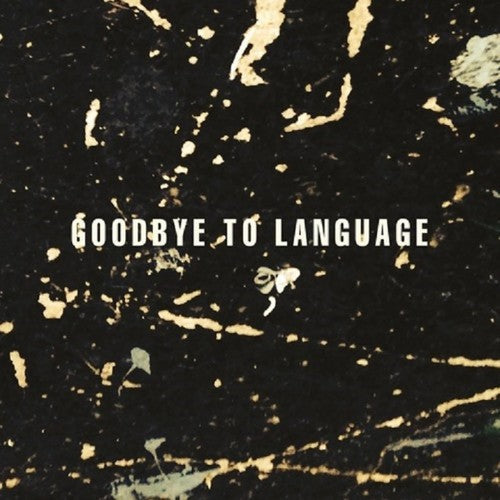 Daniel Lanois: Goodbye To Language / RECORD