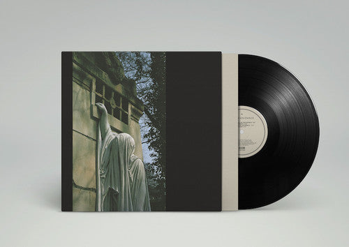 Dead Can Dance: Within The Realm Of A Dying Sun / RECORD